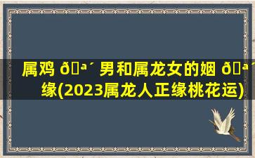 属鸡 🪴 男和属龙女的姻 🪴 缘(2023属龙人正缘桃花运)
